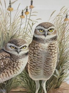 Burrowing Owl Giclee Pencil Signed by Artist Arthur Singer