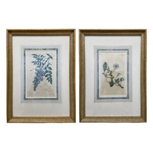 Pair of 19th Century Hand-colored Botanical Etchings