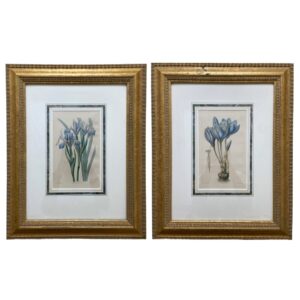 Pair of 19th Century Hand-colored Etchings of Irises and Crocuses