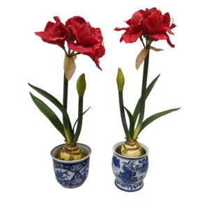 Pair of Blue and White Pots with Faux Amaryllis