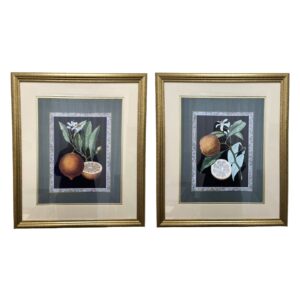 Pair of Orange and Blossom Giclees in Gold Frames